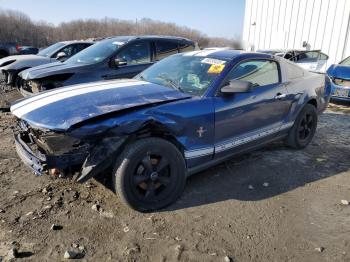  Salvage Ford Mustang