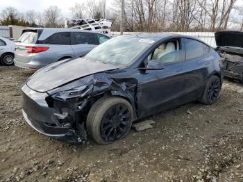  Salvage Tesla Model Y