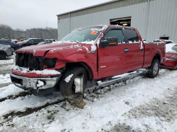  Salvage Ford F-150