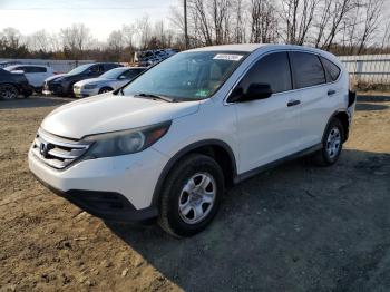  Salvage Honda Crv