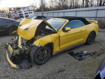  Salvage Ford Mustang