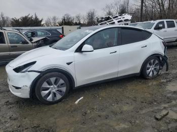  Salvage Tesla Model Y