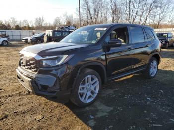  Salvage Honda Passport