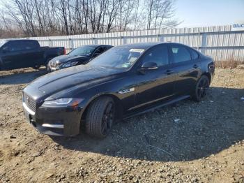  Salvage Jaguar XF