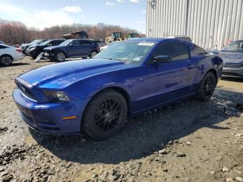  Salvage Ford Mustang