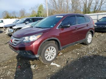  Salvage Honda Crv