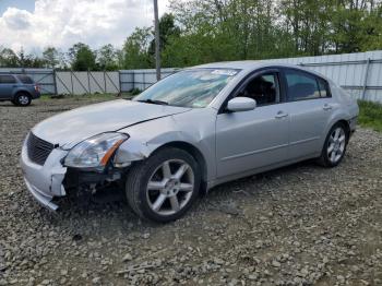  Salvage Nissan Maxima