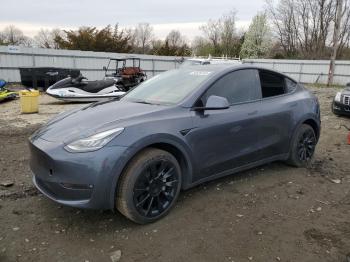  Salvage Tesla Model Y