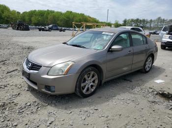  Salvage Nissan Maxima