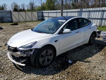  Salvage Tesla Model 3