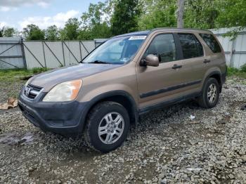  Salvage Honda Crv