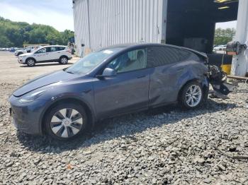  Salvage Tesla Model Y