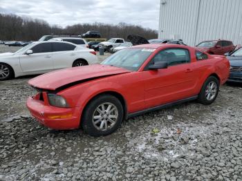  Salvage Ford Mustang