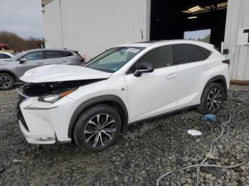  Salvage Lexus NX