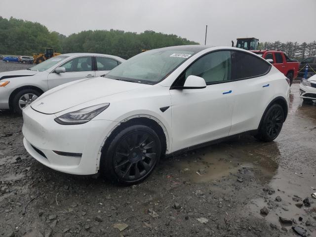  Salvage Tesla Model Y