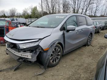  Salvage Honda Odyssey