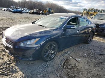  Salvage Nissan Maxima