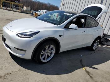  Salvage Tesla Model Y