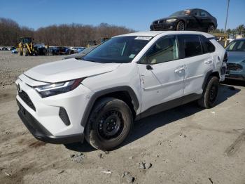  Salvage Toyota RAV4