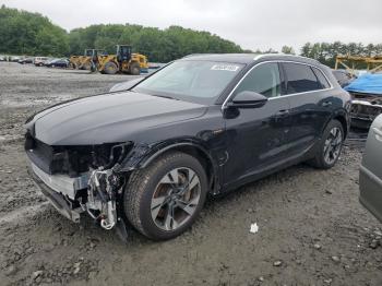  Salvage Audi e-tron