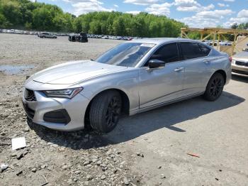  Salvage Acura TLX