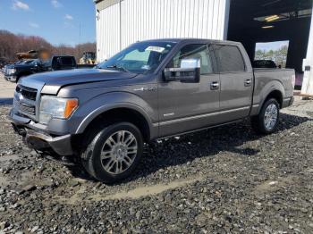  Salvage Ford F-150
