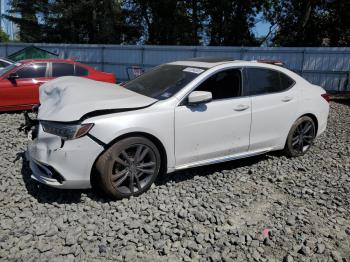  Salvage Acura TLX