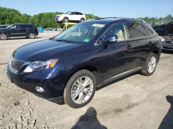  Salvage Lexus RX