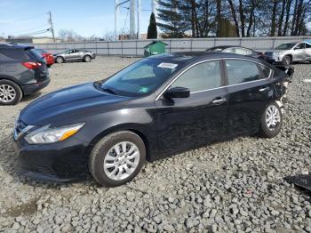  Salvage Nissan Altima