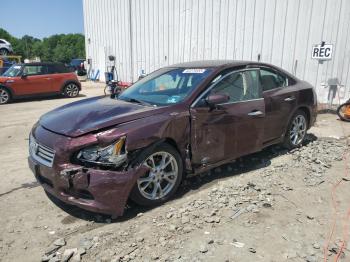  Salvage Nissan Maxima