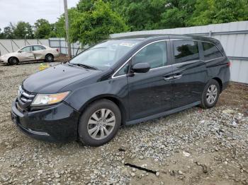  Salvage Honda Odyssey
