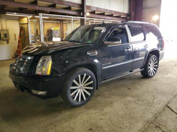  Salvage Cadillac Escalade