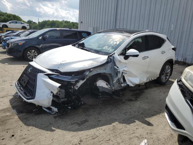  Salvage Lexus NX