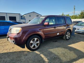  Salvage Honda Pilot