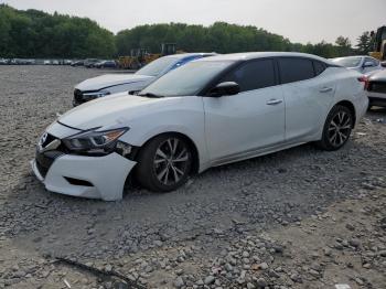  Salvage Nissan Maxima