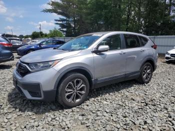  Salvage Honda Crv