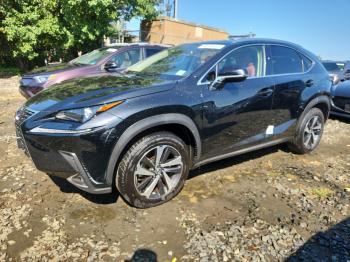 Salvage Lexus NX