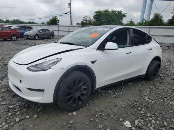 Salvage Tesla Model Y