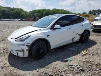  Salvage Tesla Model Y