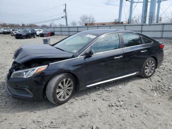  Salvage Hyundai SONATA
