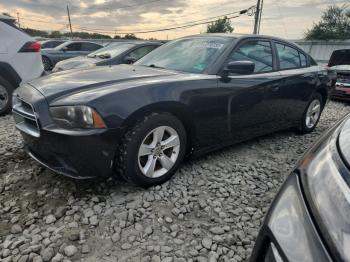  Salvage Dodge Charger