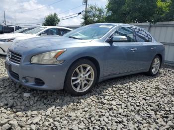  Salvage Nissan Maxima