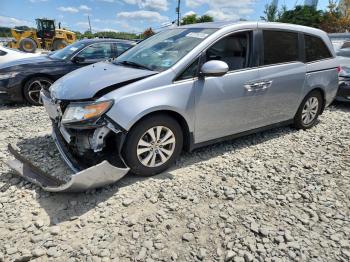  Salvage Honda Odyssey
