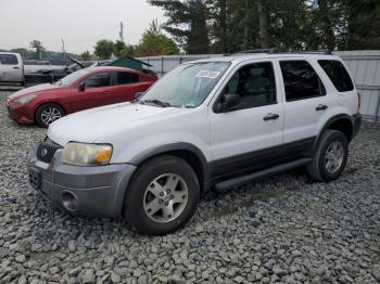  Salvage Ford Escape