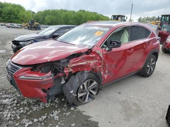  Salvage Lexus NX