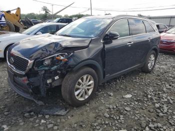 Salvage Kia Sorento