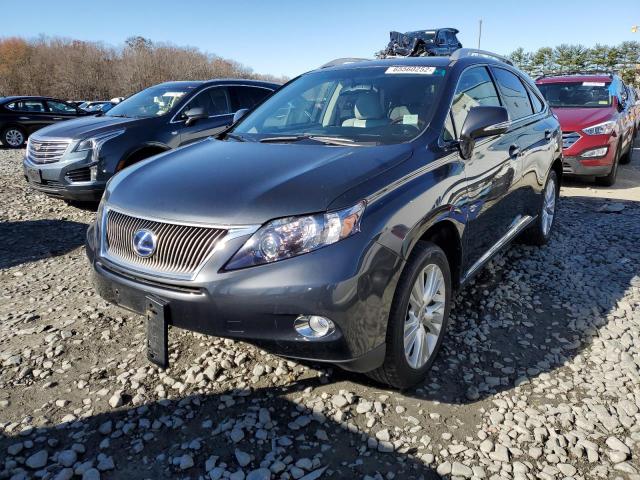  Salvage Lexus RX