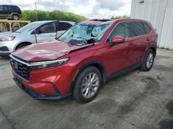  Salvage Honda Crv