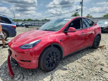  Salvage Tesla Model Y