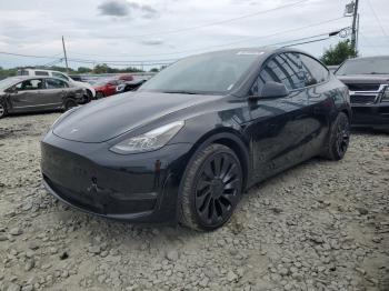  Salvage Tesla Model Y